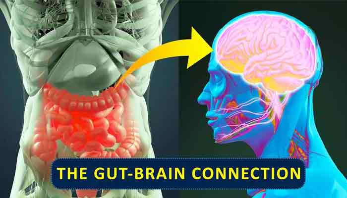 gut-brain-1