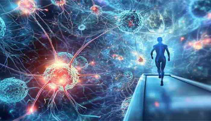 neuroscience-1